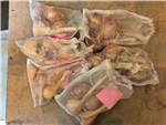 Grand Cohort Clumps in Bags